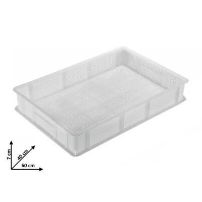 Plastic perforated box for fresh pasta 60x40 height 7 cm. AV6007N