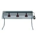 Stainless steel frame with three infrared lamps and smoked cover. PI4716