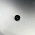 Oil seal - Oil seal ?8x?18x6 SL1454 - Fimar