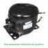 Compressore Frigorifero SC18CNX.2 Secop Danfoss Forcar - RC1526