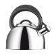 Kettle 2 l Corona 677460 Tescoma - Tescoma