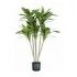 Pianta Dracaena 88 foglie altezza 130 cm