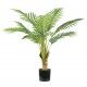 Pianta Palma Areca 9 foglie altezza 90 cm