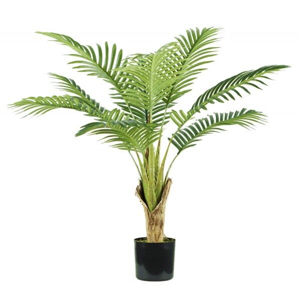 Pianta Palma Areca 9 foglie altezza 90 cm