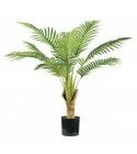 Pianta Palma Areca 9 foglie altezza 90 cm