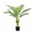 Pianta Palma Areca 9 foglie altezza 90 cm