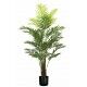 Pianta Palma Areca 33 foglie altezza 160 cm