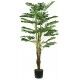 Pianta Monstera 24 foglie altezza 120 cm