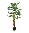 Pianta Monstera 24 foglie altezza 120 cm