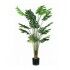 Pianta Monstera 16 foglie altezza 170 cm