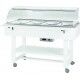 Espositore termico a bagnomaria con cupola. ELC2834 - Forcar Multiservice