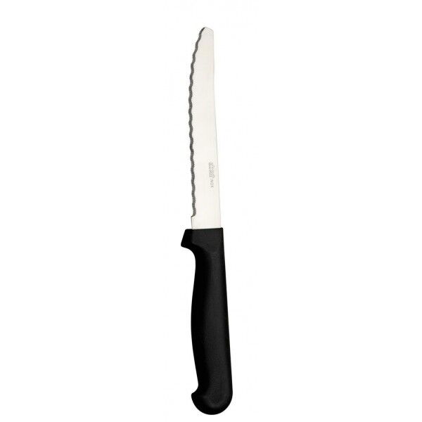 Coltello Carne 213mm Punta Tonda Abert - per hotel - Imballo 1 pz