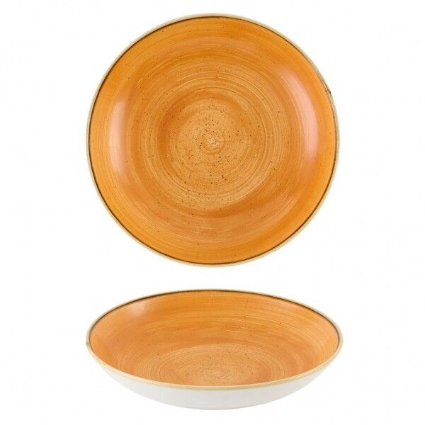 Piatto Fondo 24.8 cm Tangerine Stonecast Churchill per ristorazione - Imballo 12 pz
