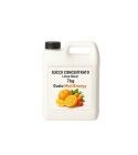 Succo Concentrato Multienergy – Arancia, Limone e Carota – Tanica 7 kg