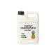 Succo Concentrato Ananas – Tanica 7 kg – Linea Basic - EffeDue