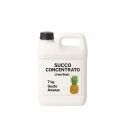 Succo Concentrato Ananas – Tanica 7 kg – Linea Basic