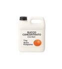 Succo Concentrato Pompelmo – Tanica 7 kg – Linea Basic
