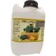Succo Concentrato Multienergy – Arancia, Limone e Carota – Tanica 7 kg