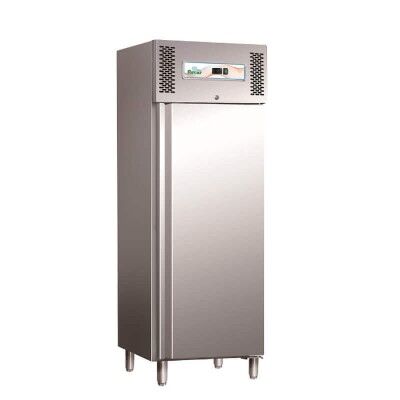 Professional static refrigerator with stainless steel frame. GN600TN - Forcar