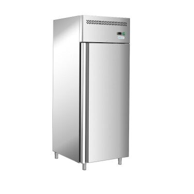 Professional static refrigerator with AISI 201 stainless steel frame. GGN600TN-FC - Forcar
