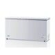 Forcar BD650S 537-liter Professional Chest Freezer - Forcar Refrigerated